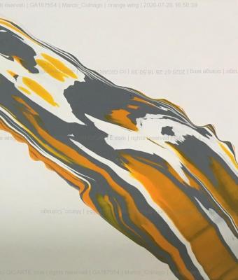 orange-wing