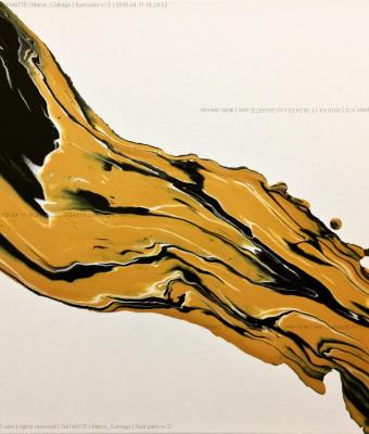 fluid-paint-n2