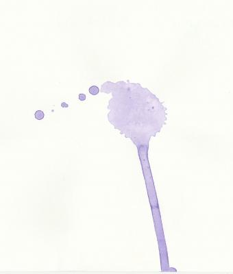 la-trasformazione-di-una-gocci