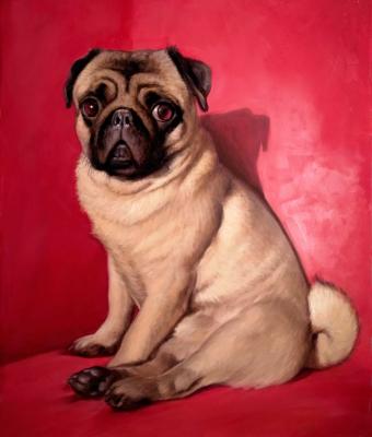 doni-olio-su-tela-50x60-co