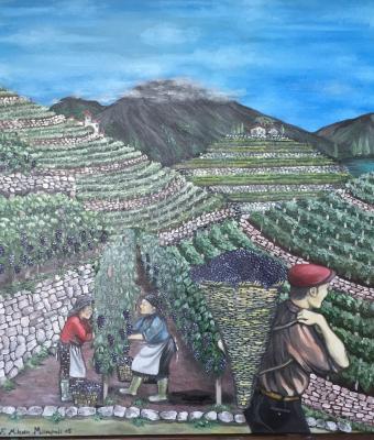 vendemmia-tardiva