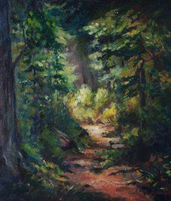 raggio-di-sole-tra-le-conifer