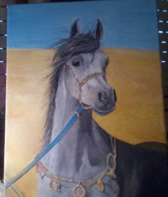cavallo-arabo