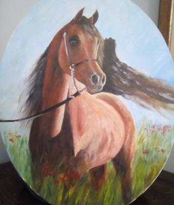 cavallo-arabo-sauro