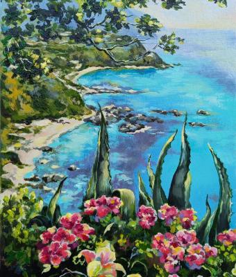 costa-tirrenica