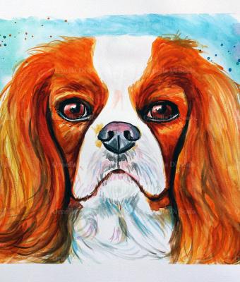 ritratto-ad-acquerello-cane-ca