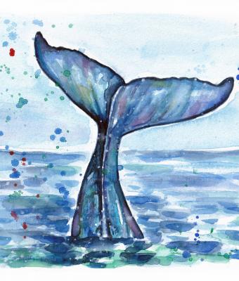 acquerello-coda-di-balena