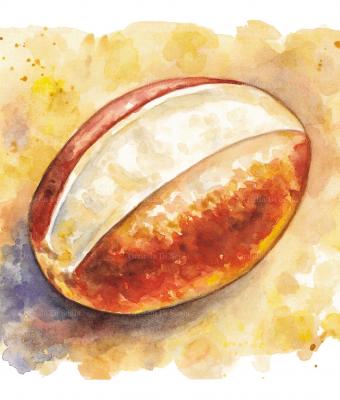 acquerello-dolce-romano-marito