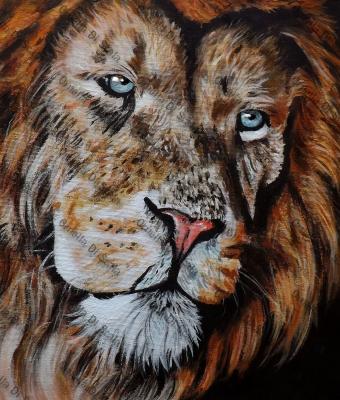 ritratto-leone