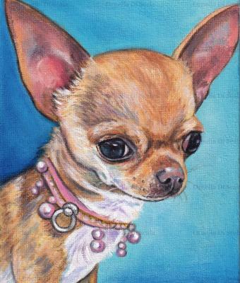 ritratto-chihuahua-acrilico