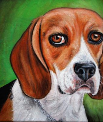 ritratto-cane-beagle-acrilico