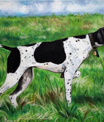 ritratto-cane-pointer-olio-su
