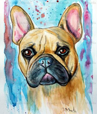 acquerello-bulldog-francese-fu