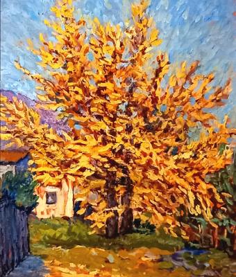autunno-a-dazio