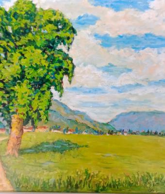 bassa-valtellina-dubino-so