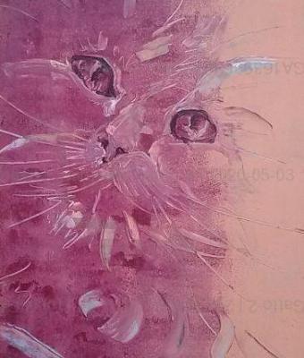 gatto-2