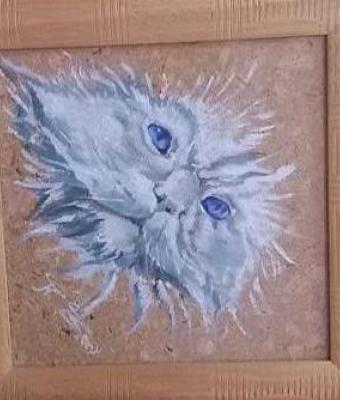 gatto-occhi-azzurri