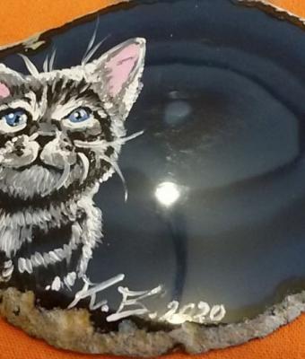 gatto-su-agata