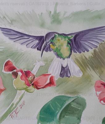 colibr-con-fiori-2