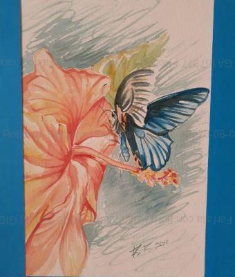 farfalla-con-fiore