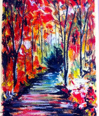 sentiero-nel-bosco