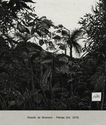 plantas