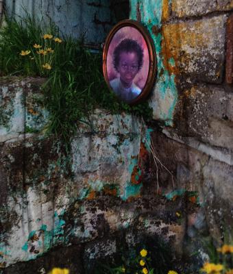 fiorire-nell-abbandono