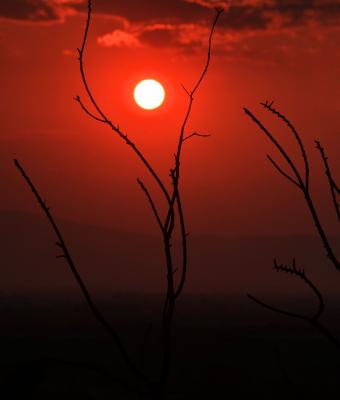 la-danza-delle-ombre