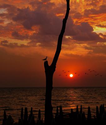 al-tramonto-l-ultima-sentinell
