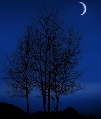 moon