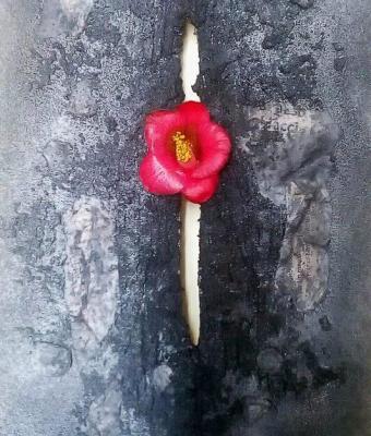 real-flower-whiter-e-sciore-o