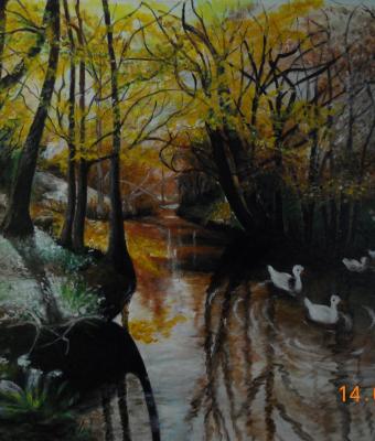 bosco-autunnale