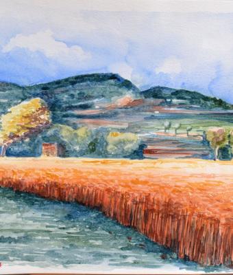 lampo-di-grano