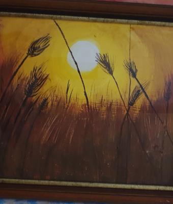 campo-di-grano