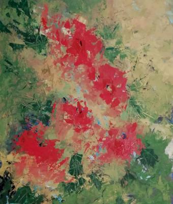 il-rosso