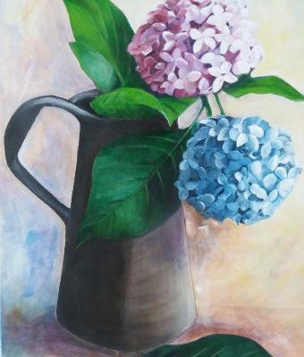ortensie