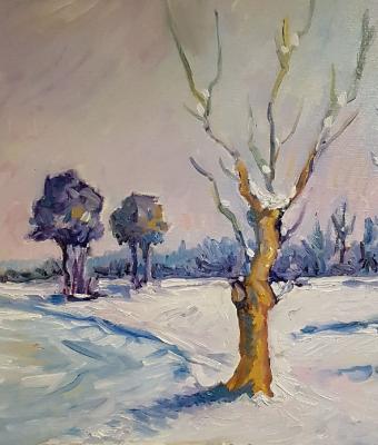 inverno-polesano