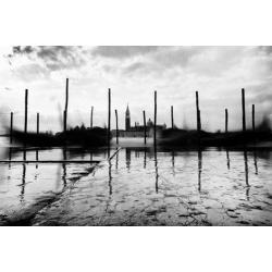 ando-fuchs