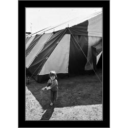 circo-1980