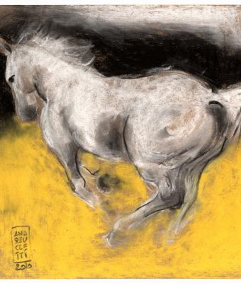 cavallo-in-corsa