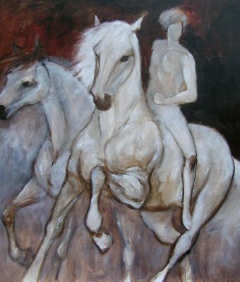 cavaliere-e-cavalli