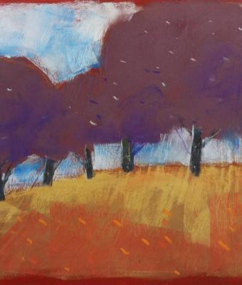 alberi-di-collina