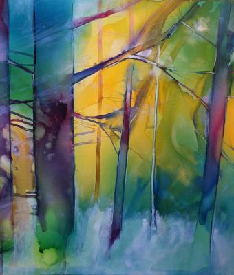 il-verde-della-foresta