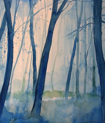 la-nebbia-nel-bosco