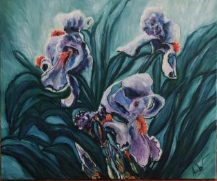 iris-nel-campo