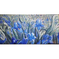 iris4