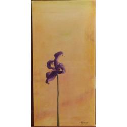 iris-solitario