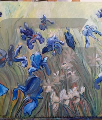 iris-e-narcisi