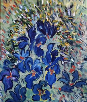 iris-estemporanei