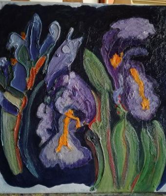 iris-materici